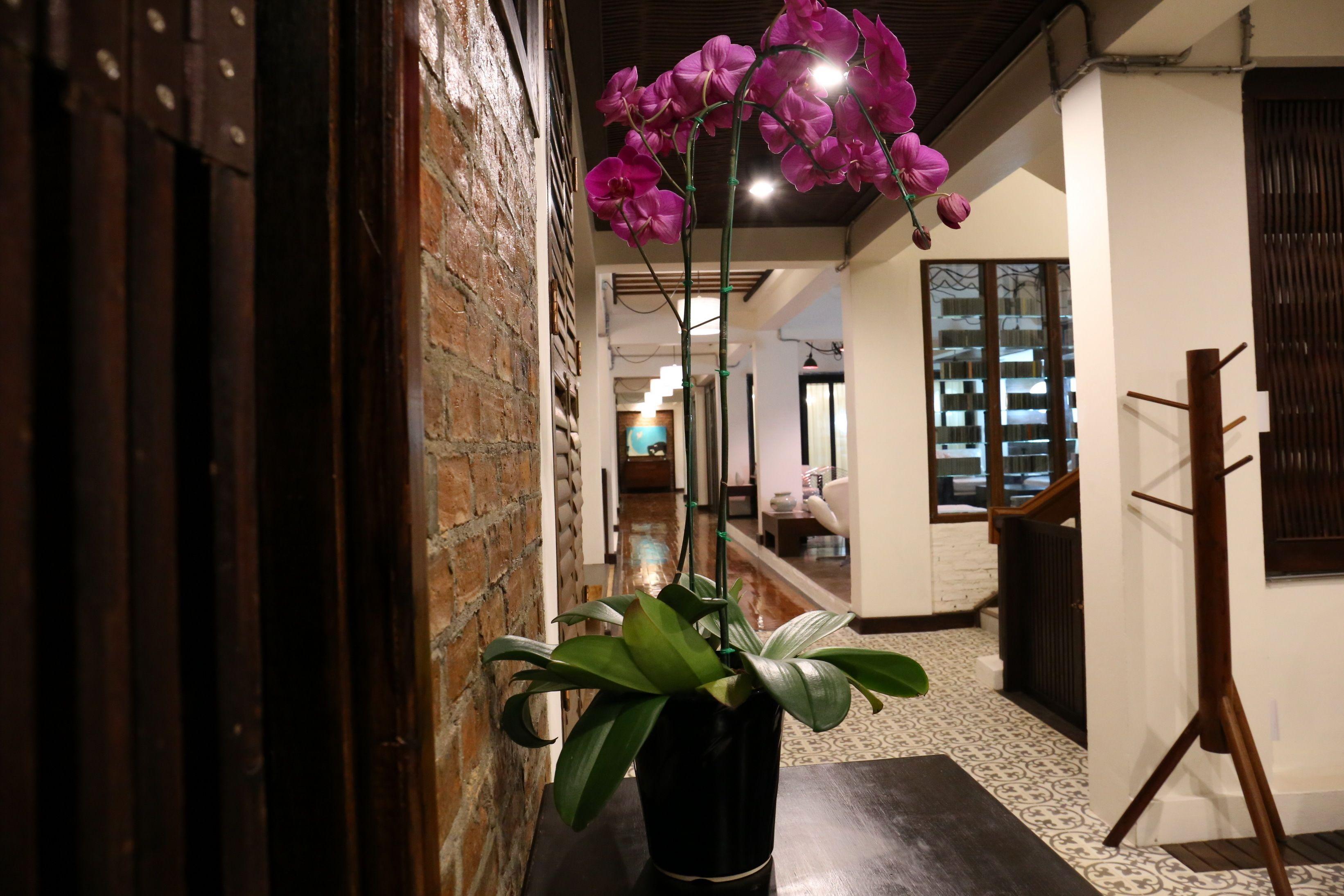 Kampaeng Ngam Hotel - Steps To Night Bazaar & Old City — Photos 2